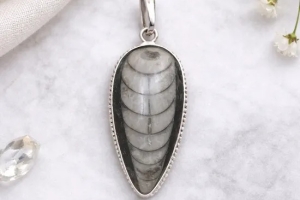 Orthoceras Fossil- Kuber Stone Pendant