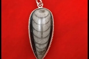 Orthoceras Fossil- Kuber Stone Pendant
